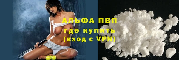 прущие грибы Михайлов