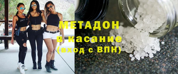 прущие грибы Михайлов